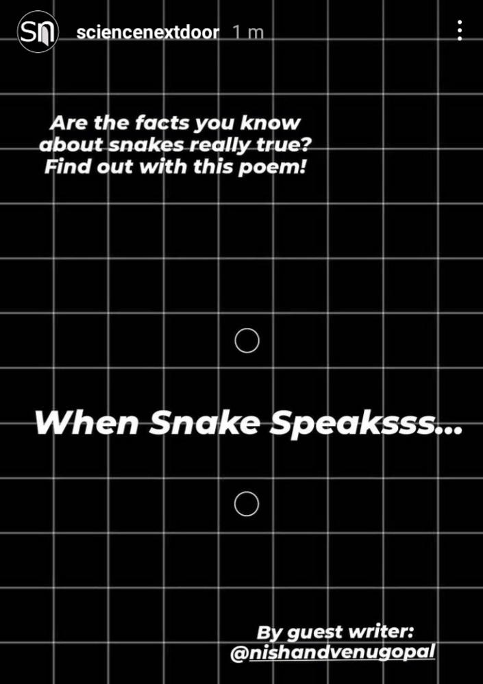 snake snakes