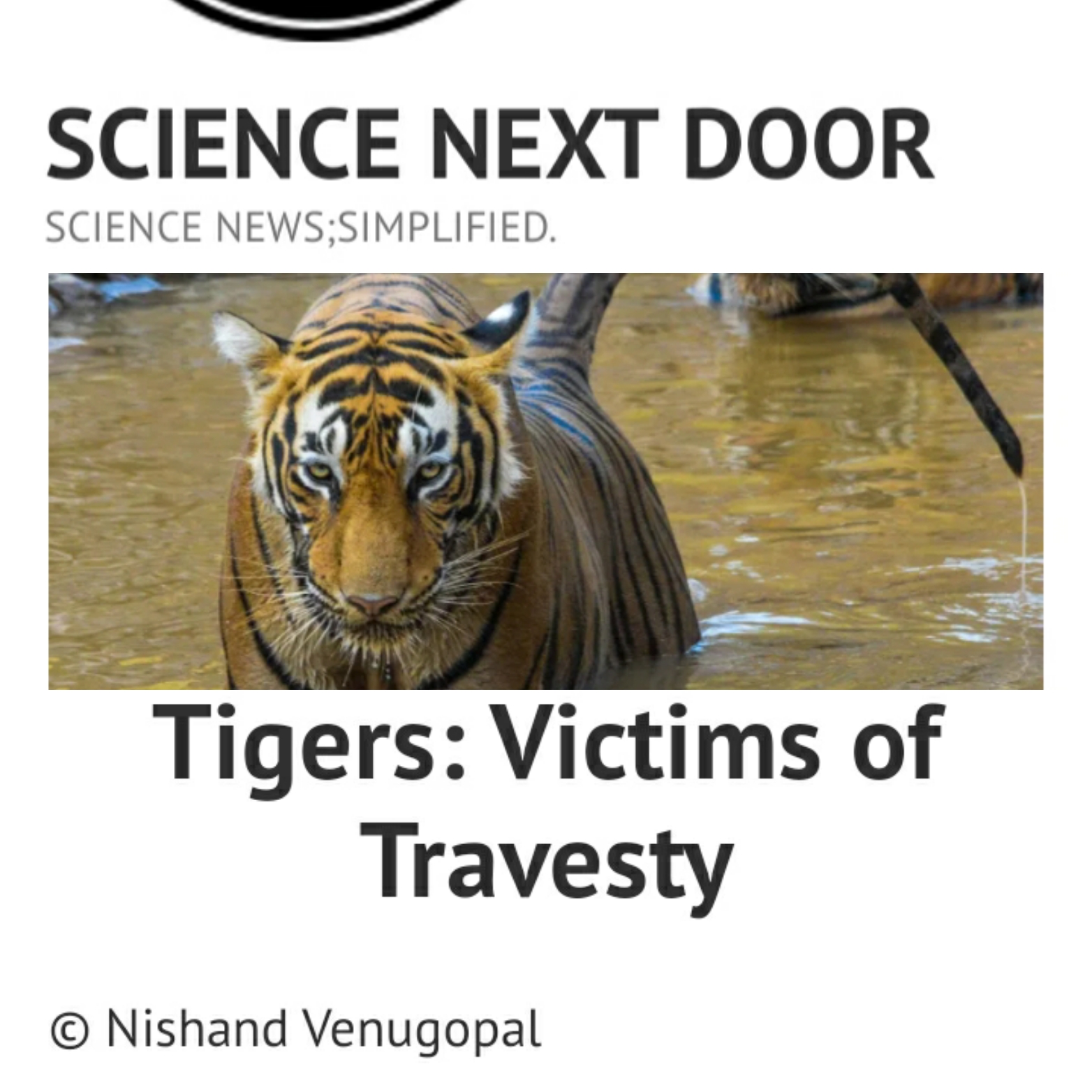 Poem on tigers