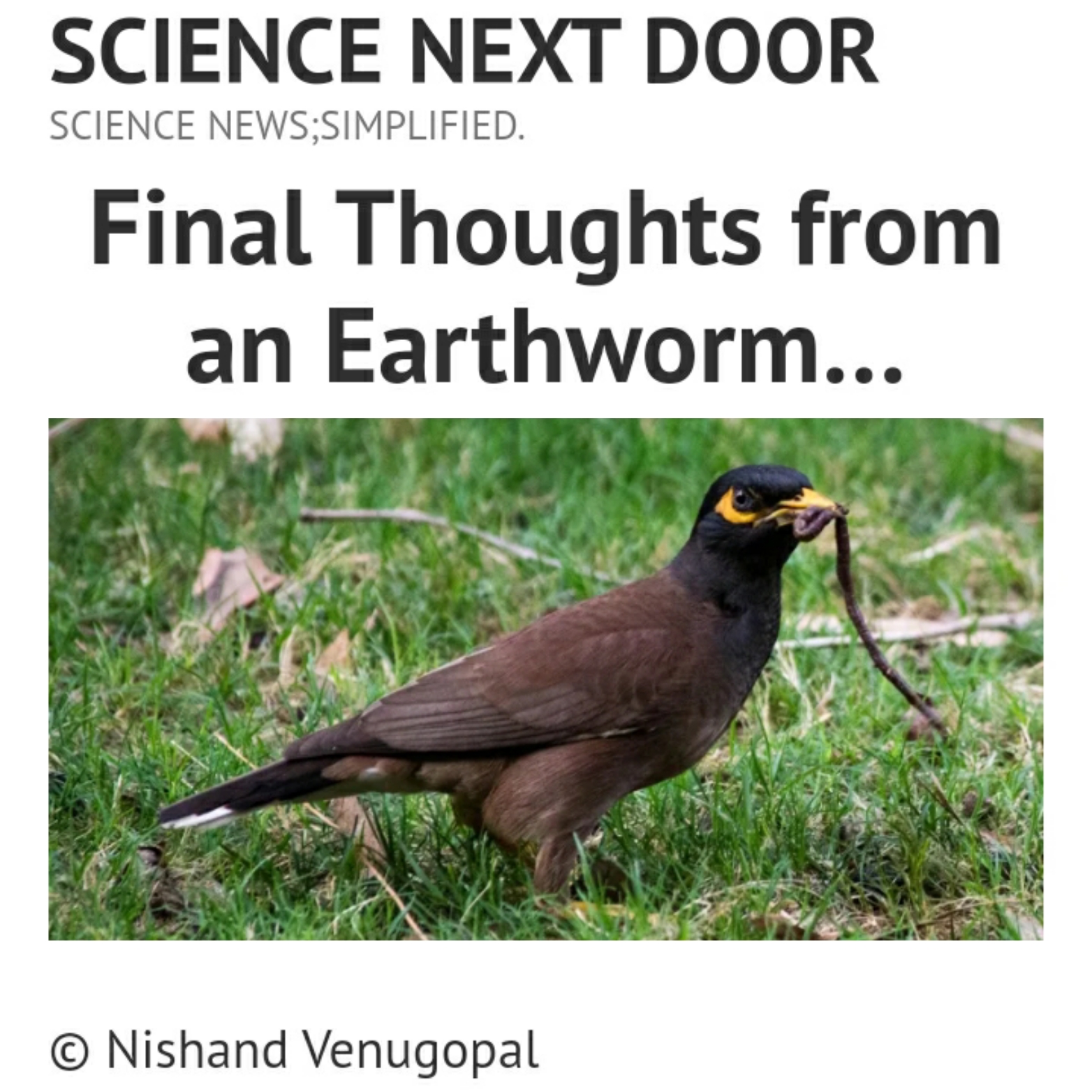 Earthworm nature poem