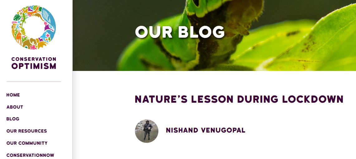 nature blog