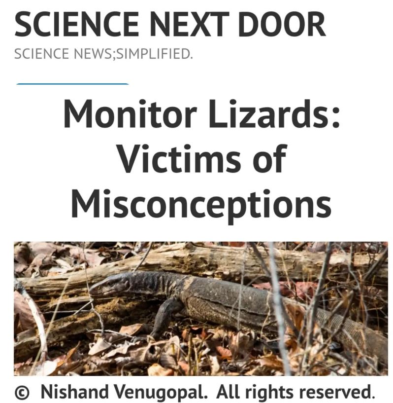 Monitor lizards