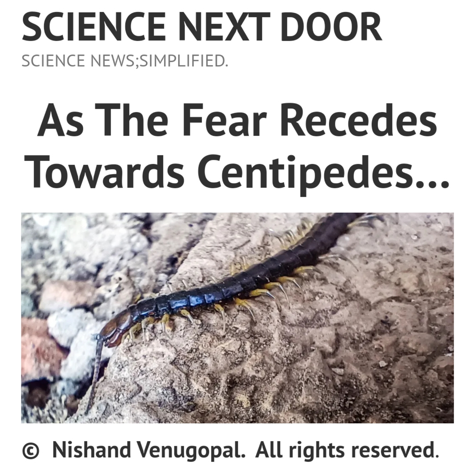 centipede, biodiversity