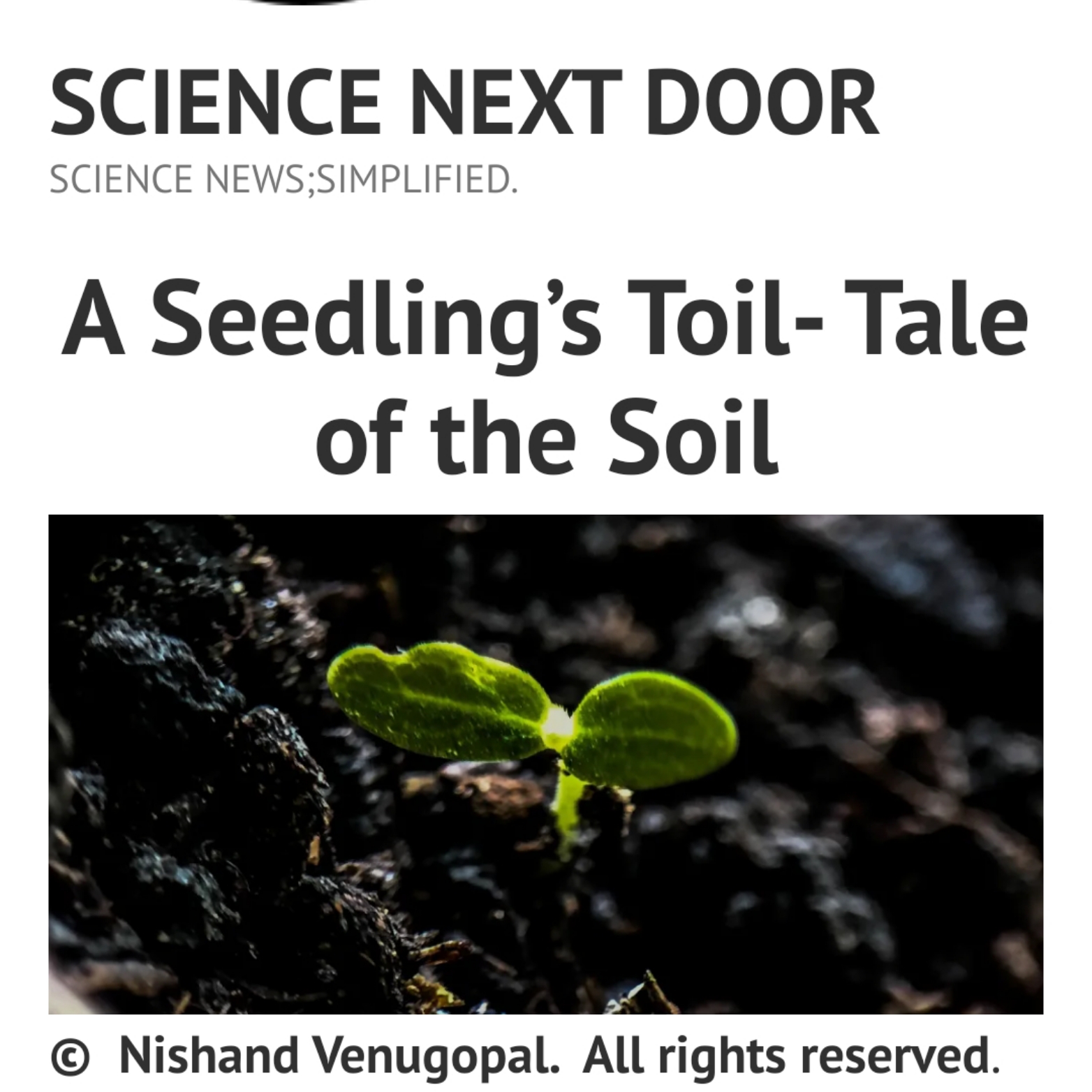 Seed, soil, Earth