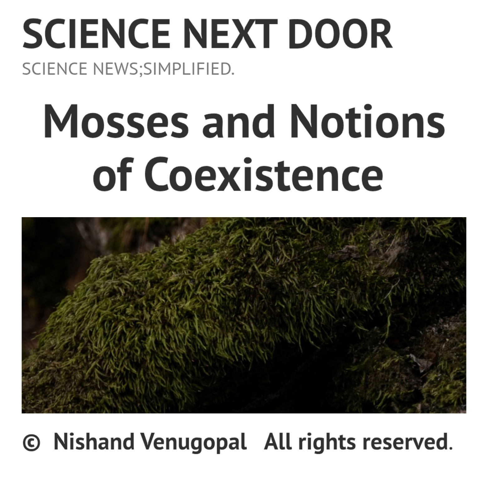 Moss, Nature, Plants, Earth