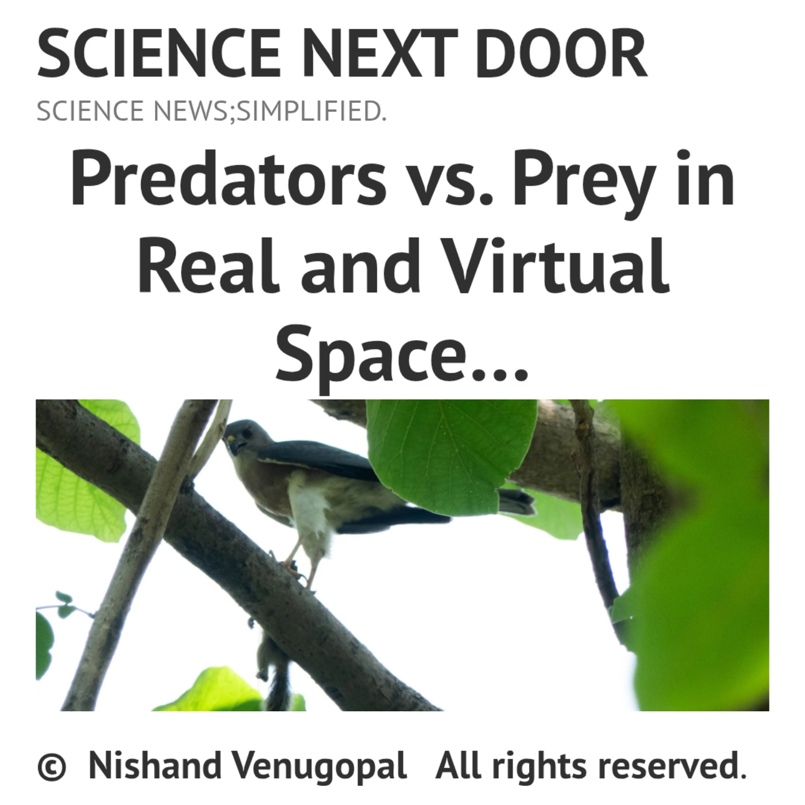 Prey, Predators, Digital, Online Abuse